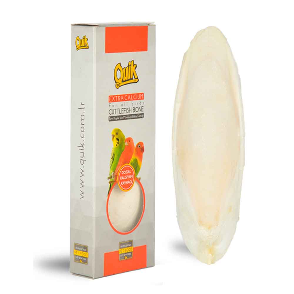 Quik Mürekkep Balığı Kemiği Orta